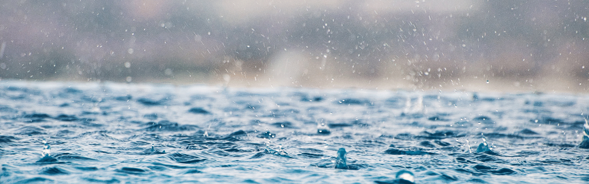 Wasser
