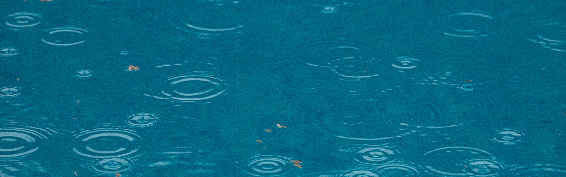 Wasser